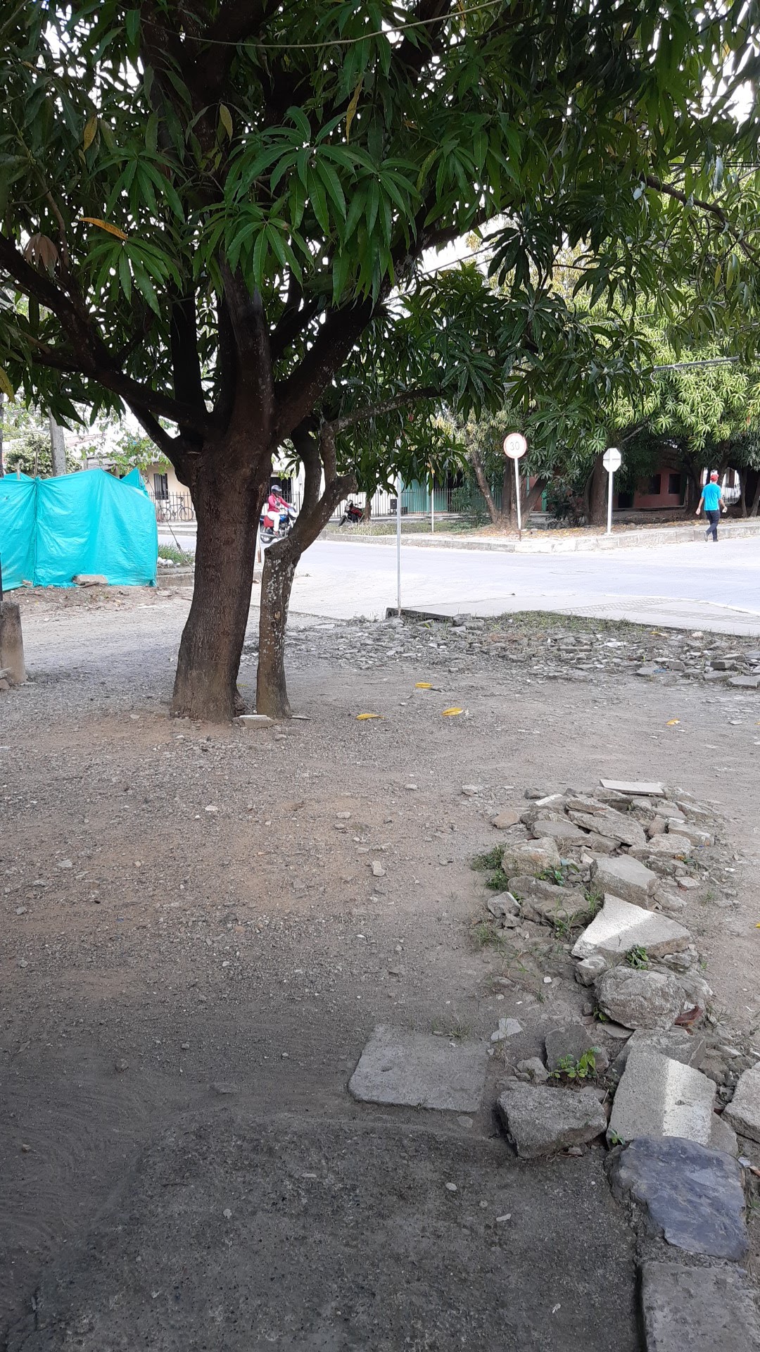 English World Monteria