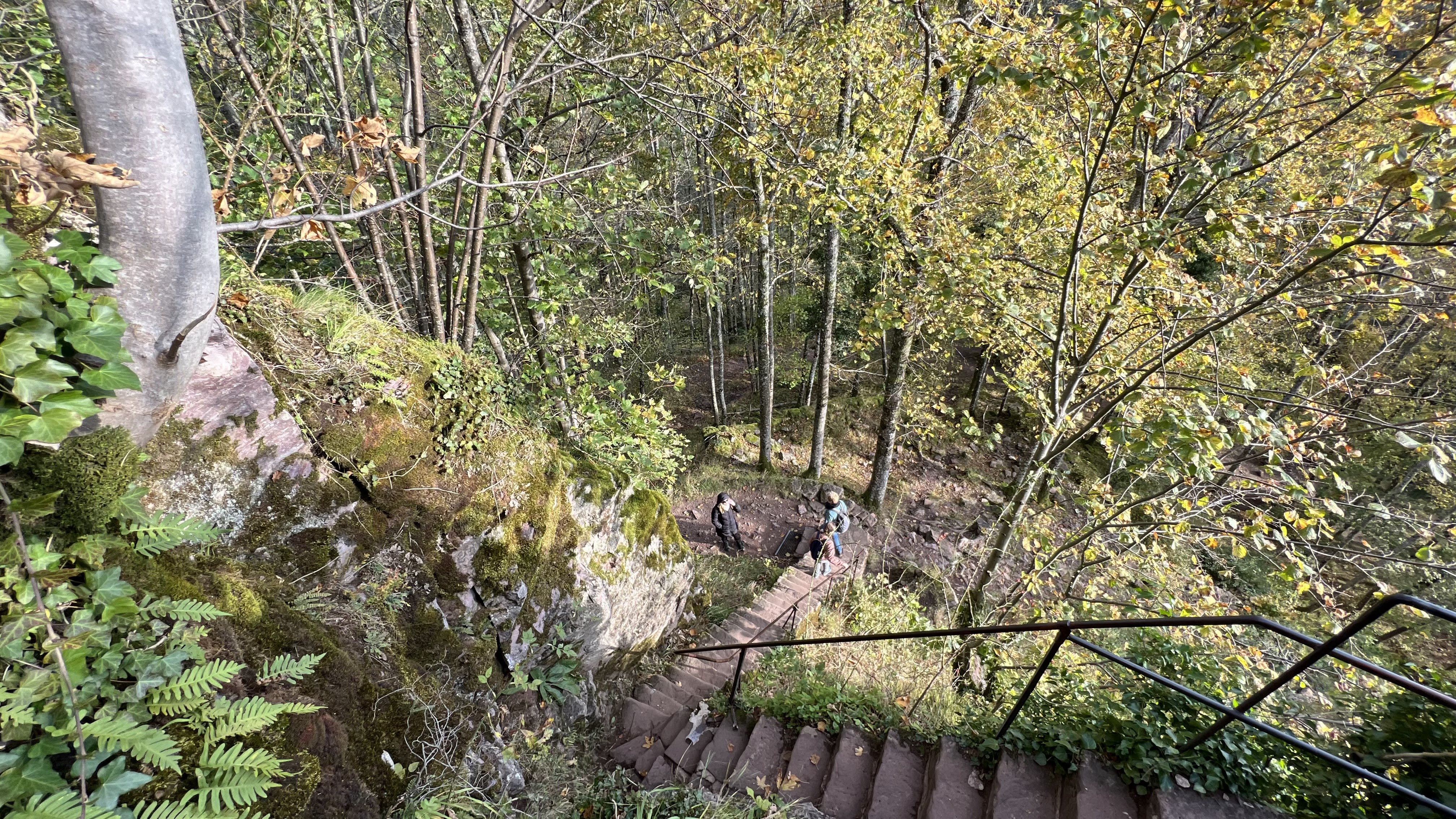 Photo n° 6 de l'avis de Ricardo.o fait le 23/10/2021 à 17:28