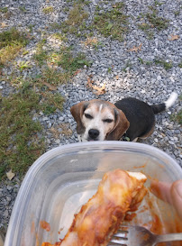 Smokey's Mobile Bicycle repair - Photo 6 - Car repair in Knoxville, TN, Knoxville