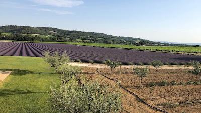 DOMAINE DES LAURIBERT à Visan