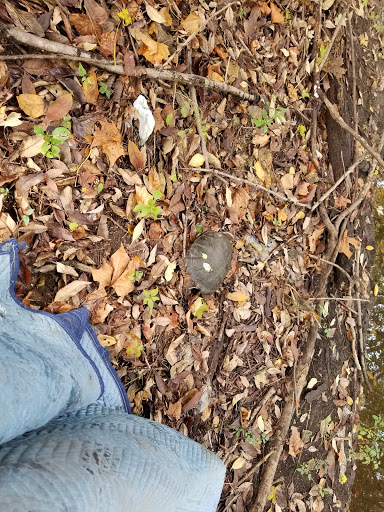 Produce Market «Circle 3 Farms», reviews and photos, 950 NJ-23, Pompton Plains, NJ 07444, USA