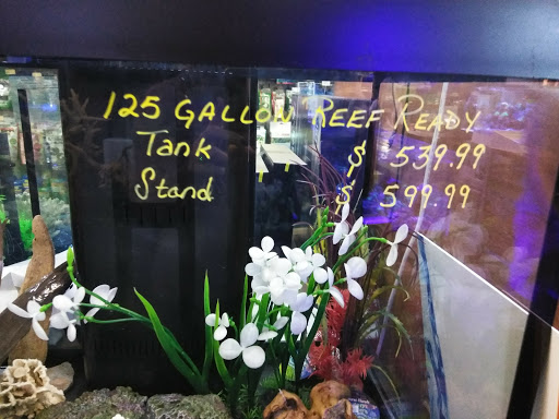 Aquarium Shop «Exotic Aquariums», reviews and photos, 7399 Bird Rd, Miami, FL 33155, USA