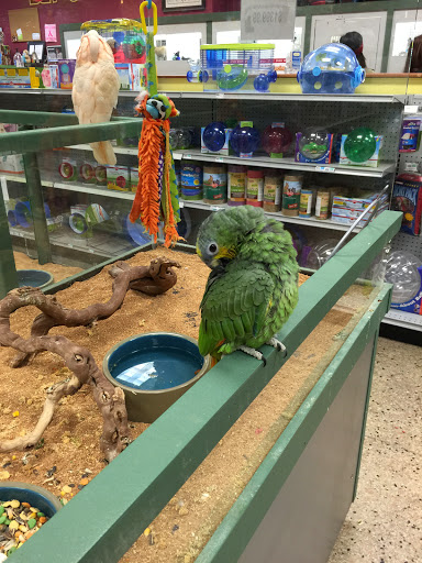 Pet Supply Store «Petland Dallas», reviews and photos, 11909 Preston Rd, Dallas, TX 75230, USA