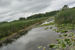 Tobico Marsh & Frank N. Andersen Nature Trail