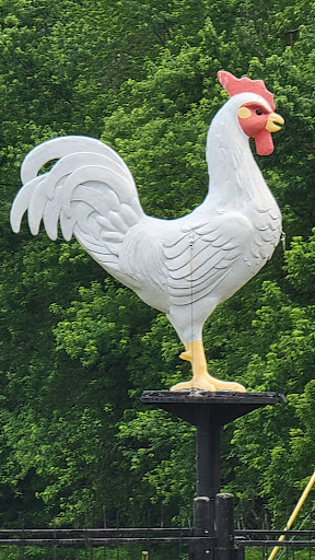 Fairground «Owen County Fairgrounds», reviews and photos, S East St, Spencer, IN 47460, USA