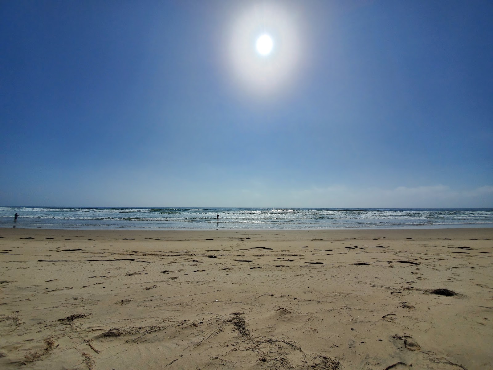 Minuteman Beach的照片 带有长直海岸