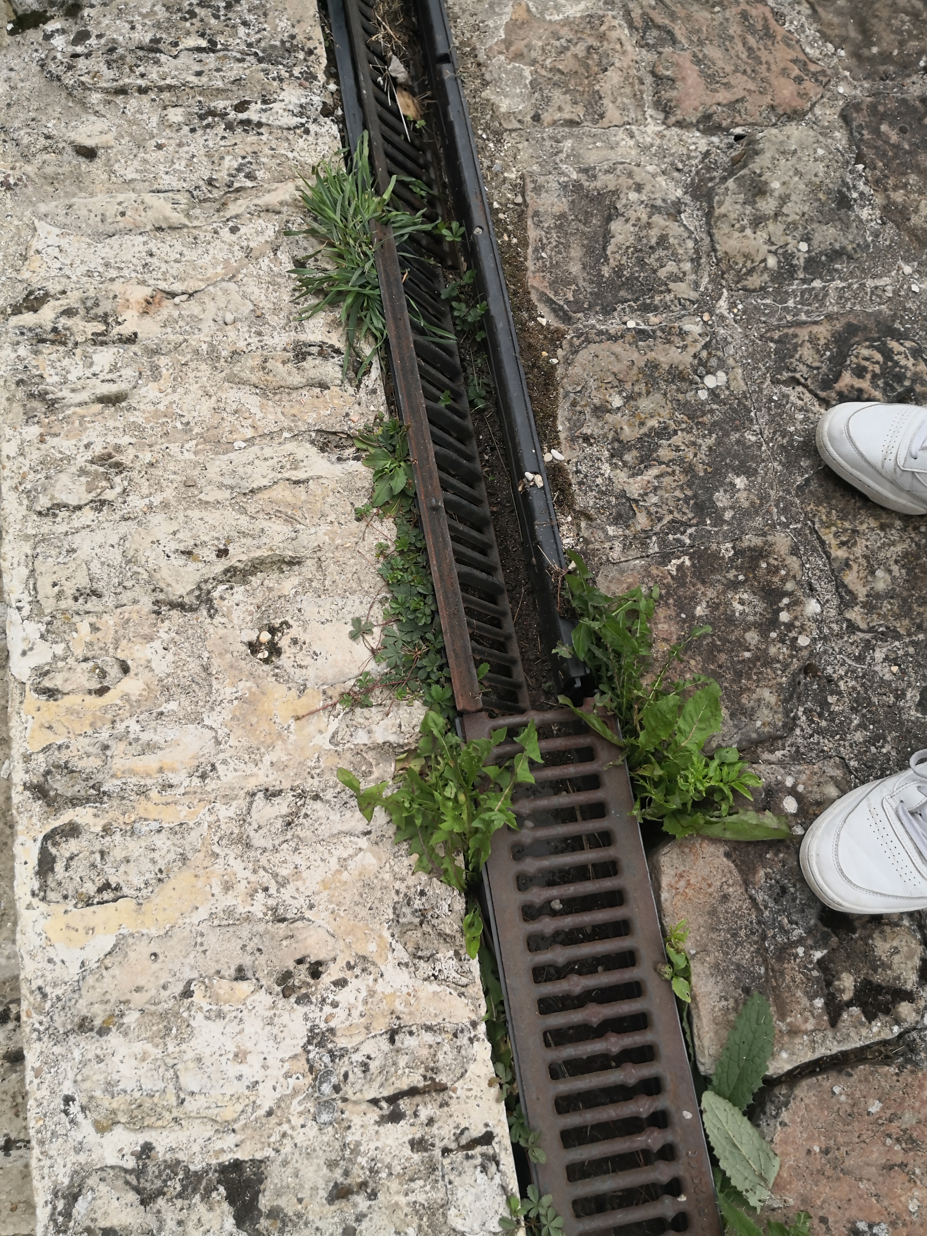 Photo n° 3 de l'avis de Zyd.i fait le 22/08/2020 à 15:43