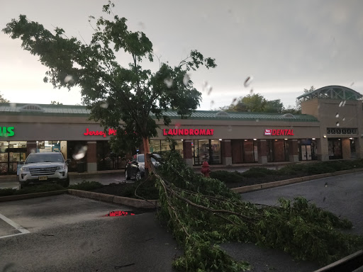 Pet Supply Store «Pet Supplies Plus», reviews and photos, 417 US-46, Dover, NJ 07801, USA