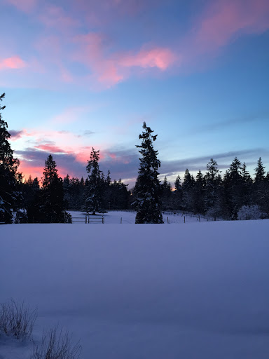 Winery «Comforts of Whidbey», reviews and photos, 5219 View Rd, Langley, WA 98260, USA