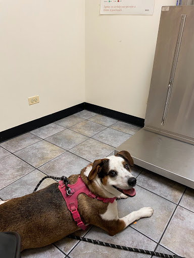 7515 Lake St, River Forest, IL 60305, USA