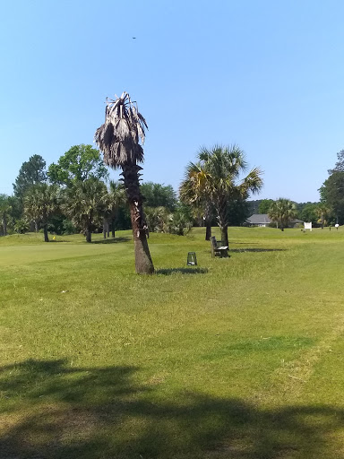 Country Club «The Palms Course», reviews and photos, 3700 W Lake Dr, Florence, SC 29501, USA