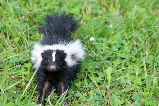 Tourist Information Center «Woodlands Nature Station», reviews and photos, 3146 Silver Trail Rd, Cadiz, KY 42211, USA