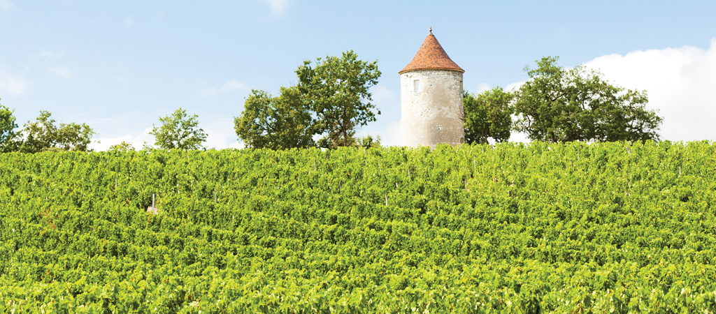 Dordogne Vineyard Tours à Mouleydier (Dordogne 24)