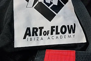 Art of Flow Bjj Brazilian jiujitsu Ibiza Academy image