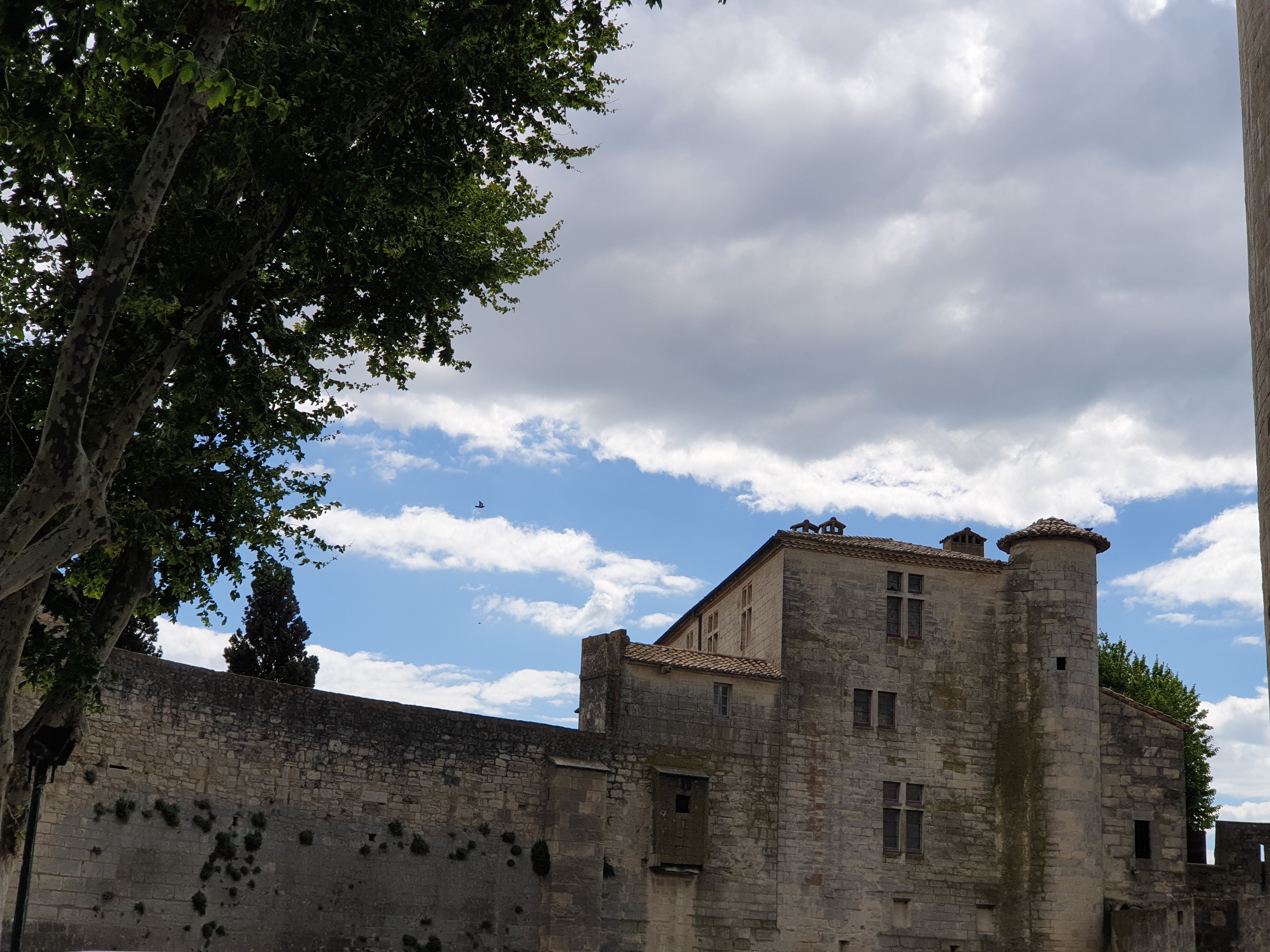 Photo n° 19 de l'avis de Jp.n fait le 07/05/2019 à 13:38