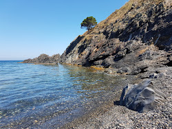 Cerberus beach'in fotoğrafı ve yerleşim