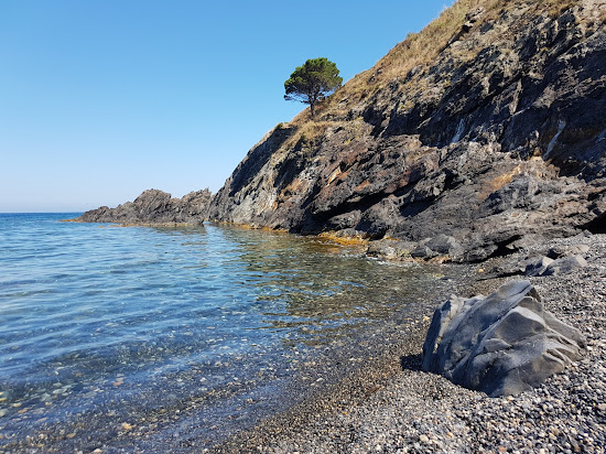 Cerberus beach