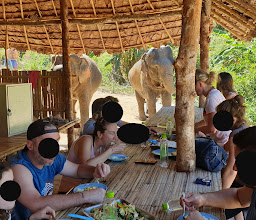 Elephantsanctuarynaturecamp photo