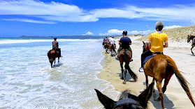 Waipu Horse Adventures