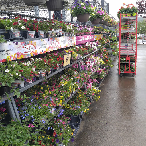 Grocery Store «Fred Meyer», reviews and photos, 2497 SE Burnside Rd, Gresham, OR 97080, USA