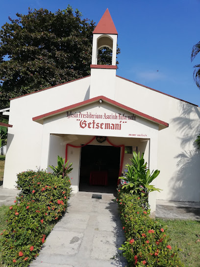 Iglesia Getsemani
