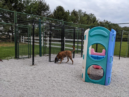 Gold Star Pet Resort Inc