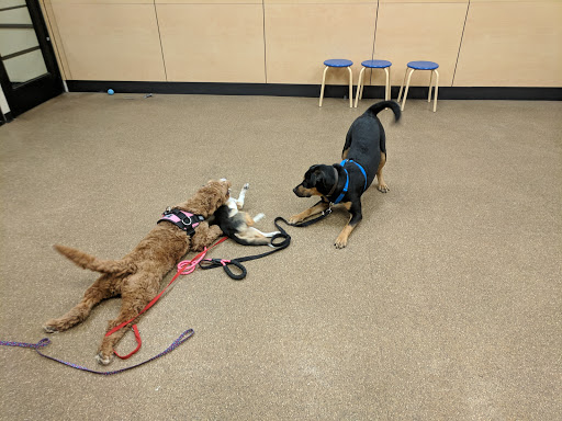 Pet Supply Store «PetSmart», reviews and photos, 2347 N Telegraph Rd, Monroe, MI 48162, USA