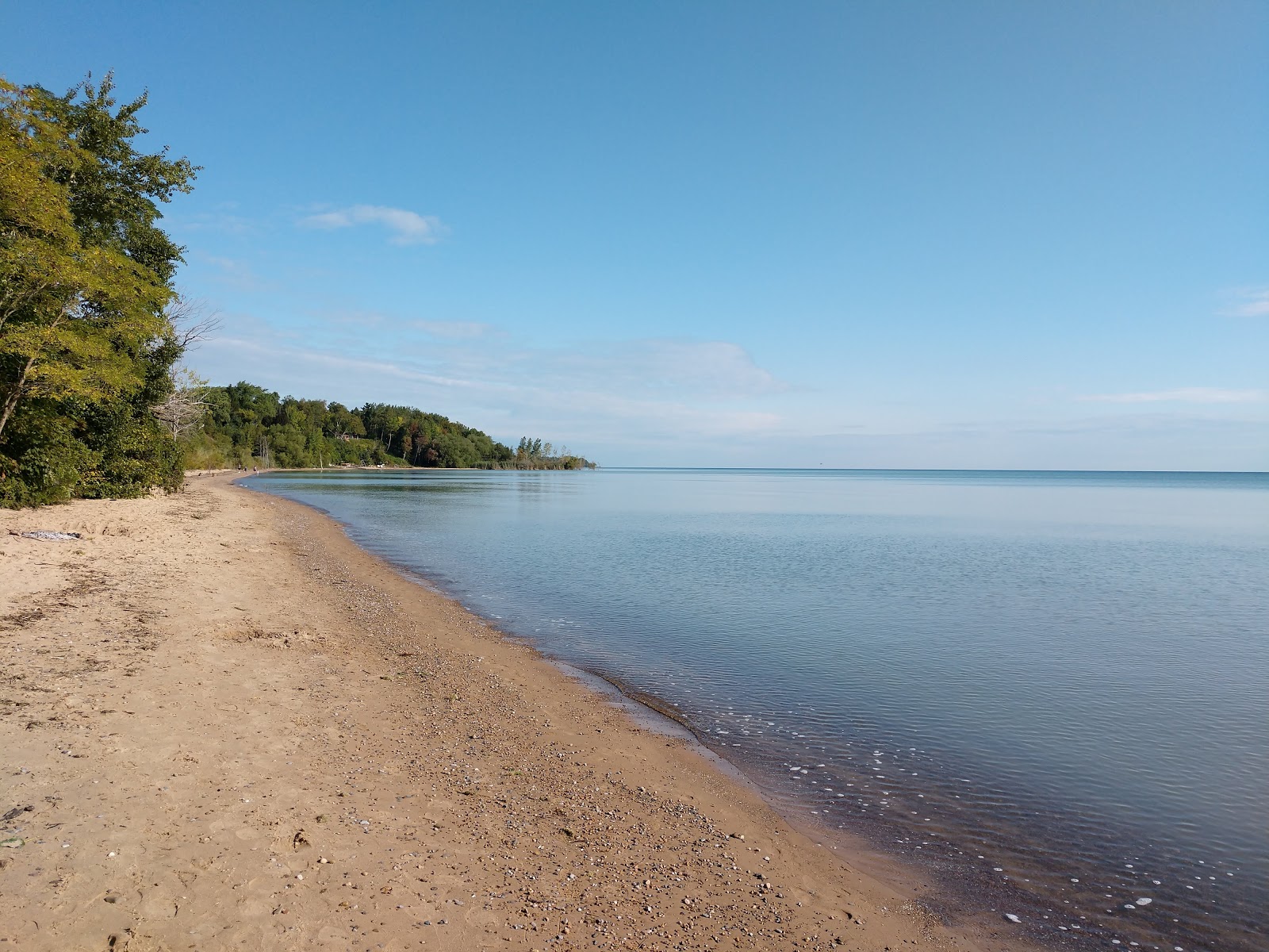 Foto di Four Mile Scenic Turnout Beach con una superficie del sabbia beige