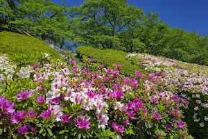 Suidotsutsuji Park image