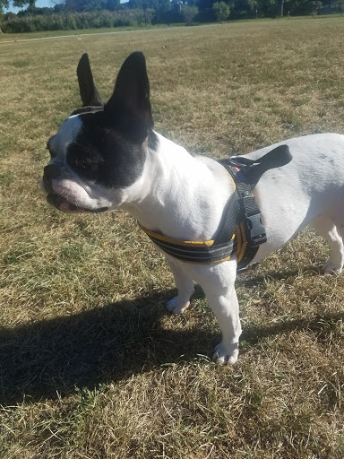 Park «Baisley Pond Park», reviews and photos, Baisley Blvd, Jamaica, NY 11434, USA