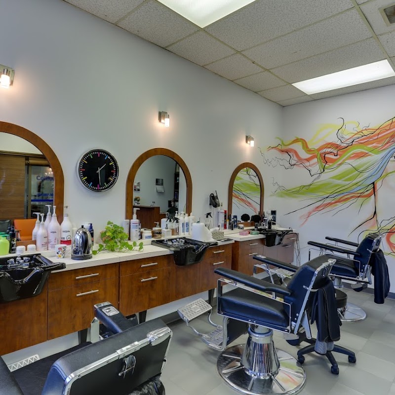 Salon De Barbier Picasso