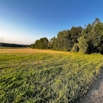 Photo n°11 de l'avis de Yuri.p fait le 14/06/2023 à 18:17 sur le  Naturresort Tannenhof & Restaurant DAS LÖFFLERS à Großmaischeid