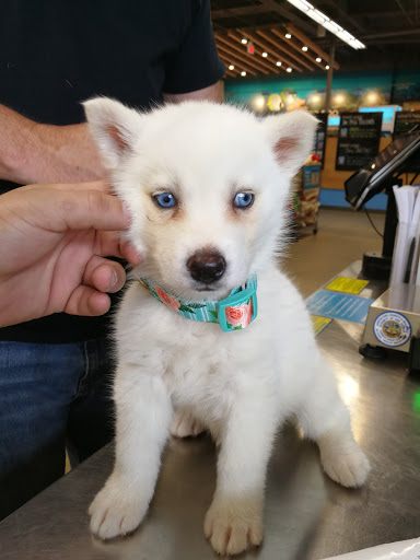 Pet Supply Store «Petco Animal Supplies», reviews and photos, 3495 Sports Arena Blvd, San Diego, CA 92110, USA