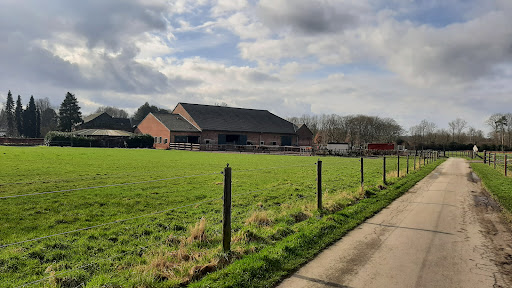 Pferdepraxis am Flughafen Quentin Rehra unter Ratingen, Nordrhein-Westfalen