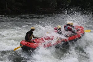 Dandeli River Rafting & Wildlife Hub image