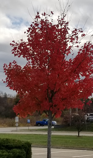 Home Improvement Store «The Home Depot», reviews and photos, 100 Arthur F Brady Dr, Portsmouth, NH 03801, USA