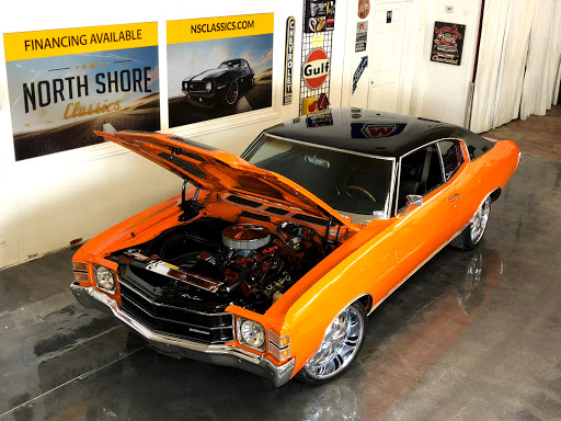 Used Car Dealer «North Shore Classics (Classic Car Dealership)», reviews and photos, 149 N Seymour Ave, Mundelein, IL 60060, USA