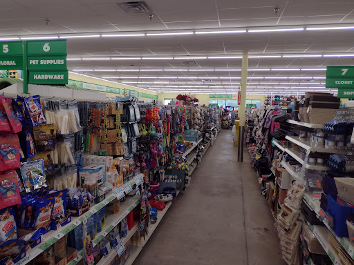 Dollar Tree