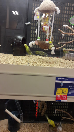 Pet Supply Store «PetSmart», reviews and photos, 2525 W Wheatland Rd, Dallas, TX 75237, USA