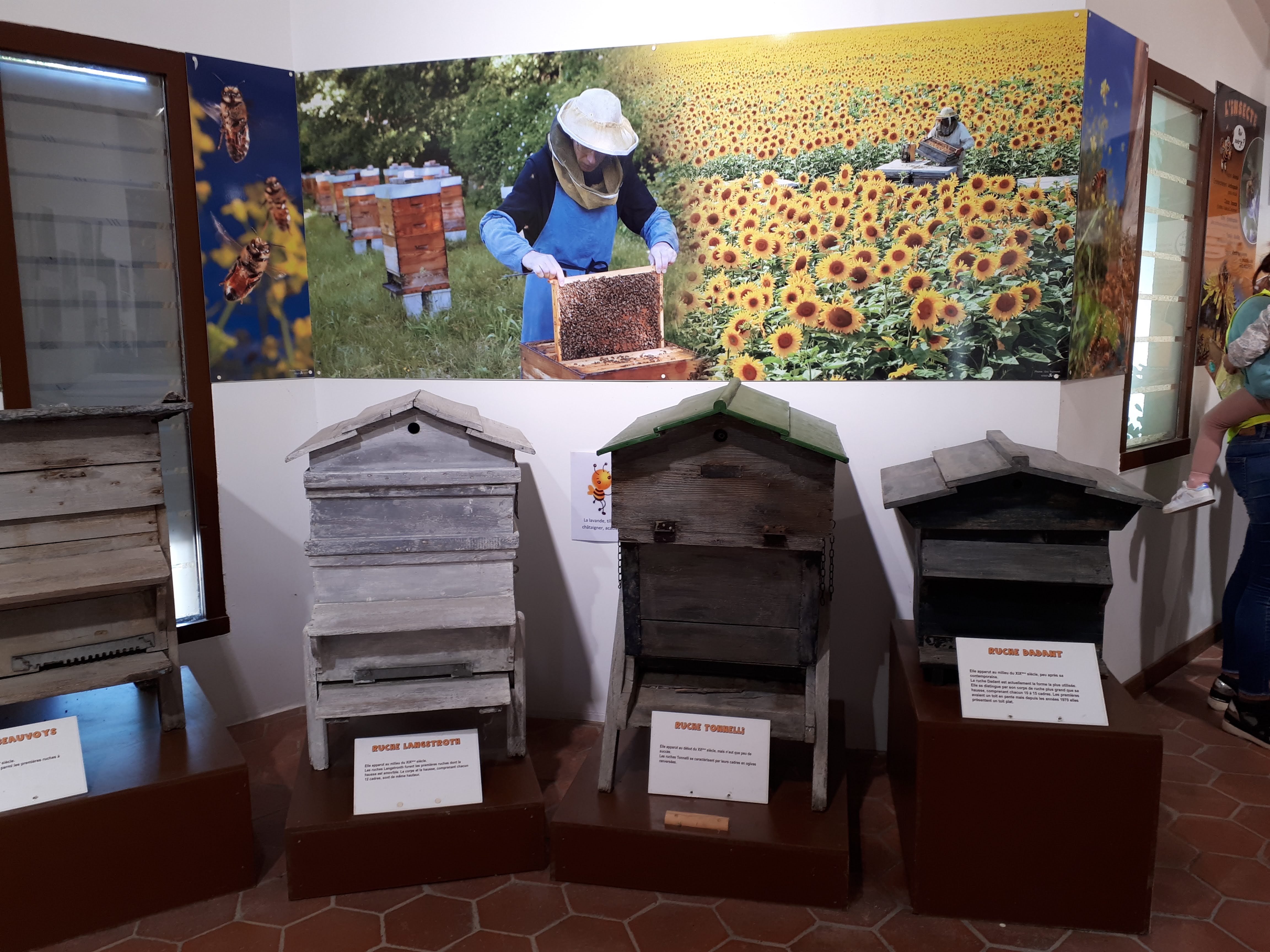 Photo n° 2 de l'avis de Françoise.o fait le 15/09/2021 à 16:44