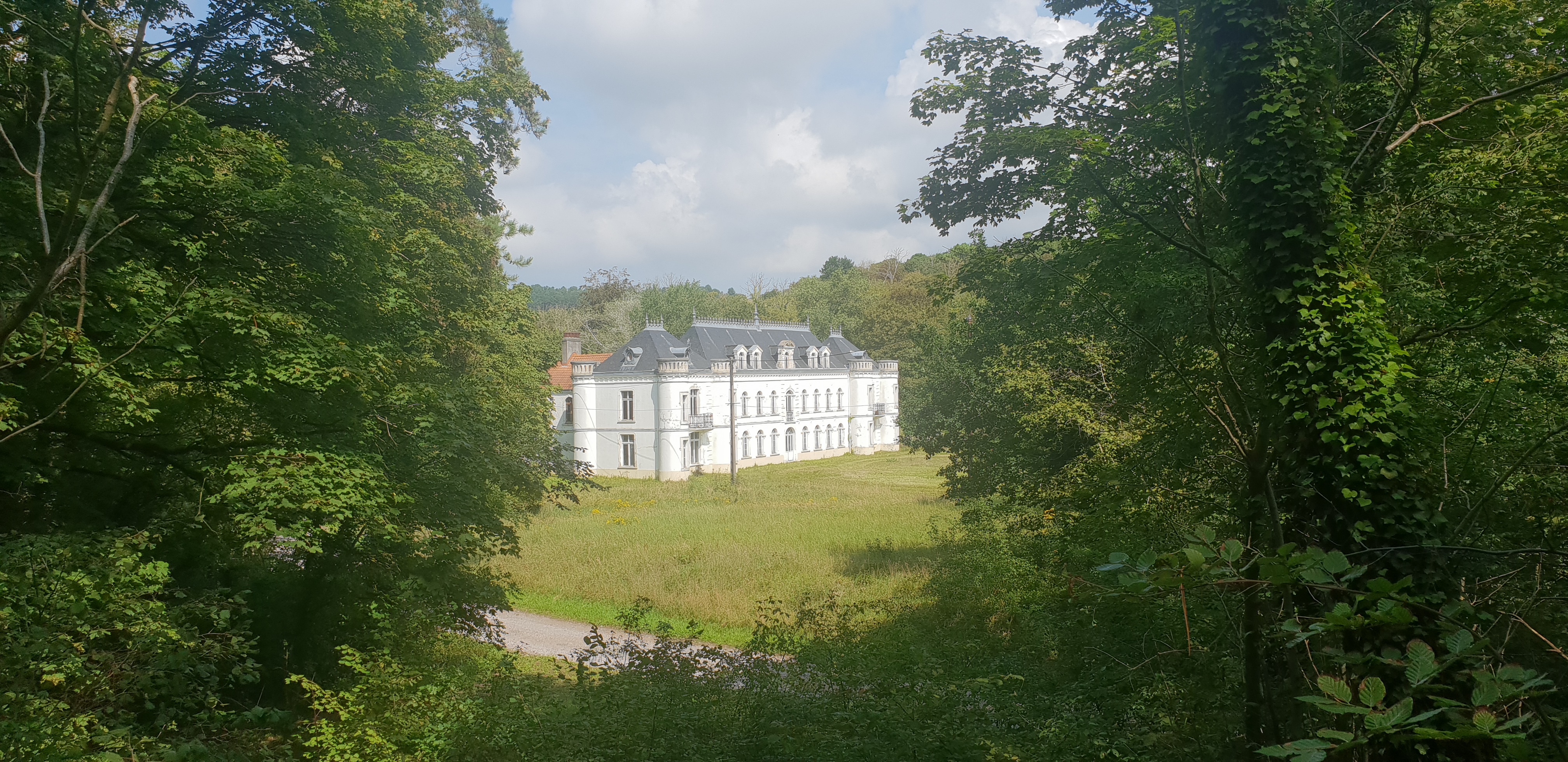 Photo n° 12 de l'avis de Floriant.o fait le 25/08/2023 à 13:28