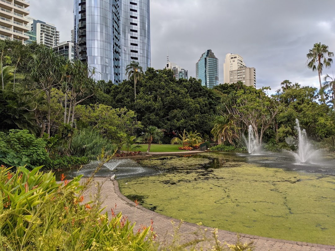 Brisbane, Avustralya