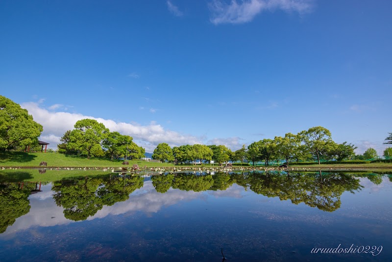 蓮海寺