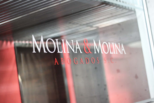 Molina & Molina Abogados S.C.