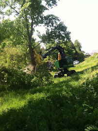 Queen's Tree Surgery, Inc - Photo 3 - Car repair in Murfreesboro, TN, Murfreesboro