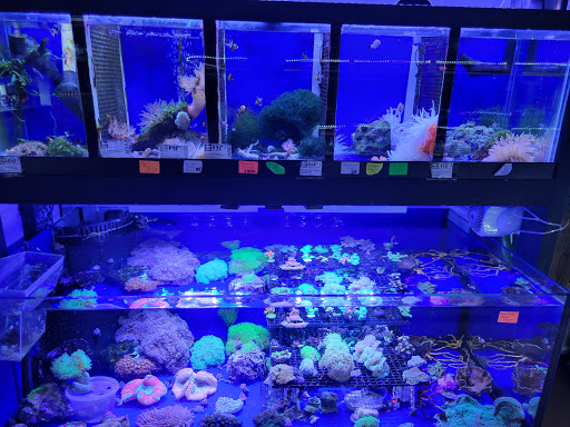 Tropical Fish Store «Emmons Tropical Fish & Ponds», reviews and photos, 1612 Hopmeadow St, Simsbury, CT 06070, USA