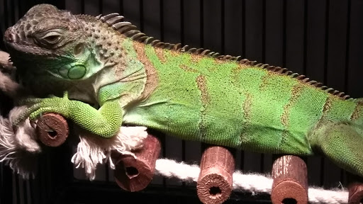 Pet Store «Pet Central», reviews and photos, 1200 Smallhouse Rd, Bowling Green, KY 42104, USA