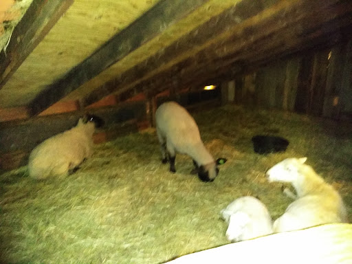 Funeral Home «Paul R Young Funeral Home», reviews and photos, 7345 Hamilton Ave, Cincinnati, OH 45231, USA