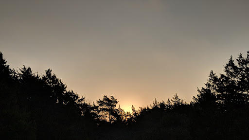 Nature Preserve «Oak Cliff Nature Preserve», reviews and photos, 2875 Pierce Street, Dallas, TX 75233, USA