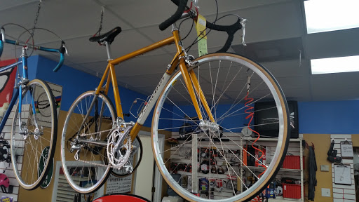 Bicycle Store «Fort Myers Cyclery - Schwinn GT Jamis Colnago», reviews and photos, 3630 S Cleveland Ave, Fort Myers, FL 33901, USA